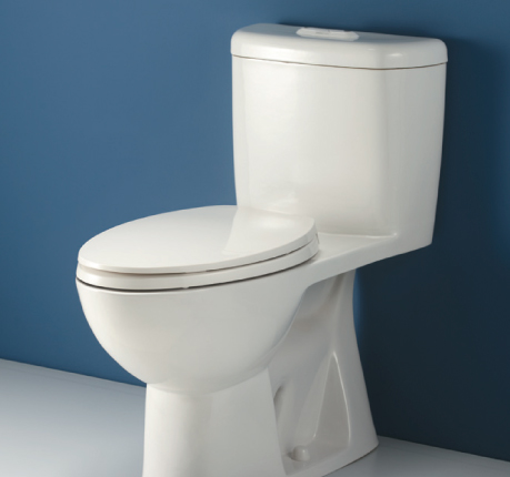 Sydney Smart 305 One-Piece Easy Height Elongated Toilet